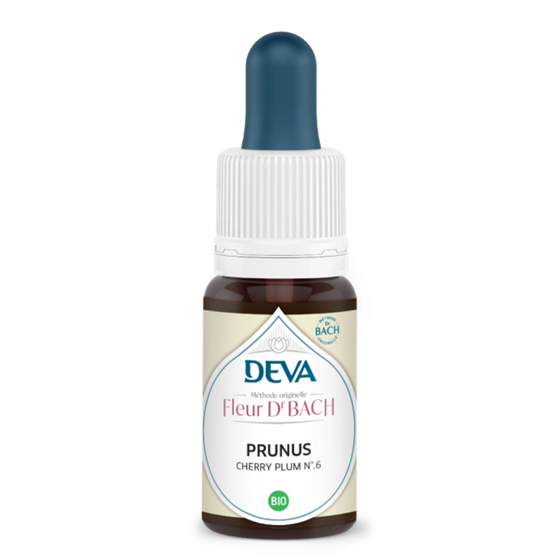 Страх и несигурност - Джанка, капки по метода на Бах, 15 ml