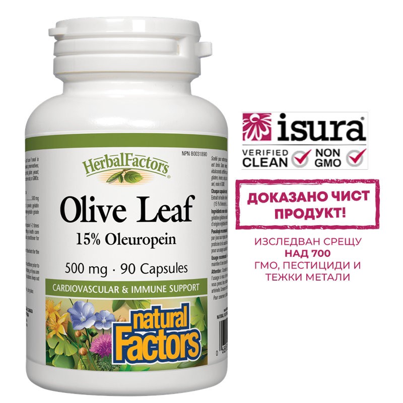 Olive Leaf / Маслина (лист) 500 mg х 90 капсули