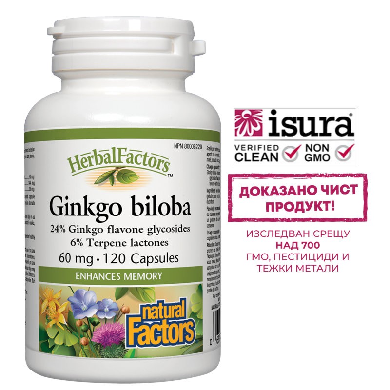 Памет и концентрация - Гинко Билоба, 60 mg х 120 капсули