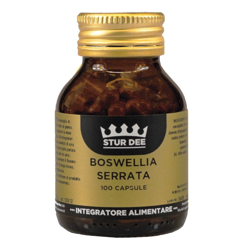 Босвелия 100 mg + Дяволски нокът 170 mg – Здрави и подвижни стави, 100 капсули