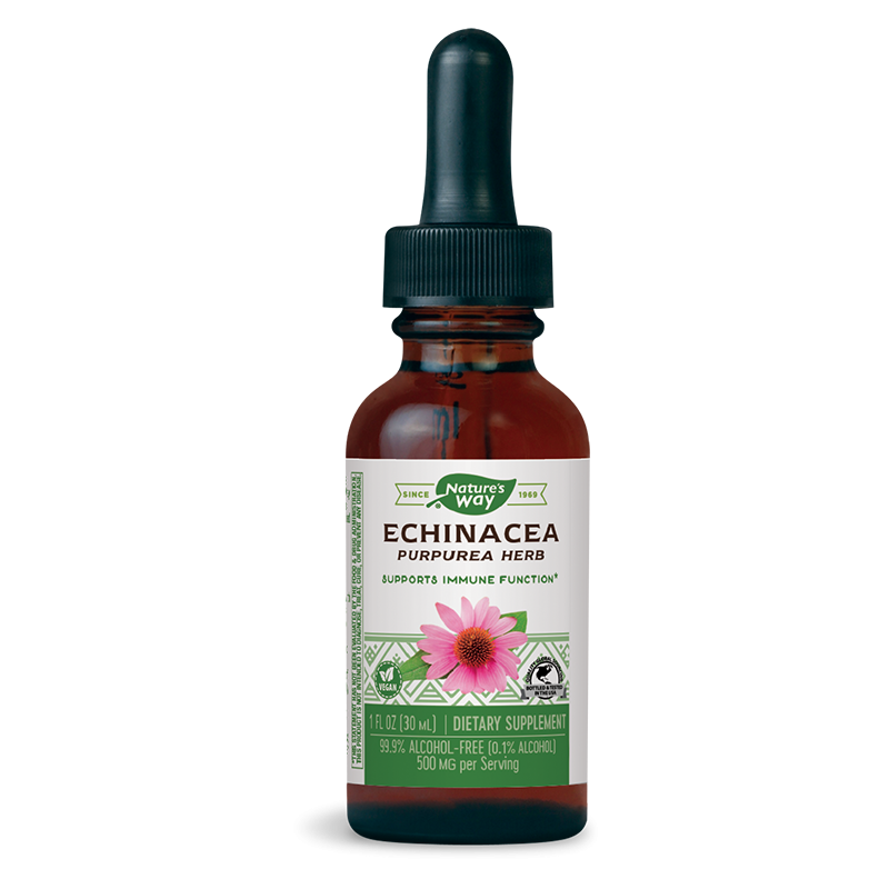 Ехинацея - тинктура - Имунитет и дихателна система, 30 ml (без алкохол)