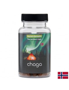 Имунитет и енергия - Чага, 400 mg х 60 капсули - Медицински гъби