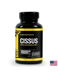 Кости и стави - Цисус (Cissus), 500 mg х 120 капсули - Гонартроза