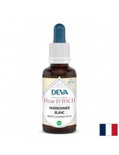 Памет и концентрация - Конски кестен, капки по метода на Бах №35, 15 ml - Мозъчна функция,памет, концентрация
