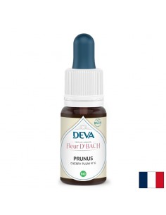 Страх и несигурност - Джанка, капки по метода на Бах, 15 ml - Капки по Метода на Доктор Бах