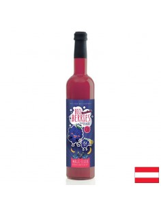 Плодов сок от къпини, боровинки, касис, арония и банани (концентрат), 750 ml