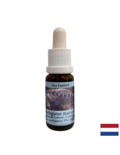 Детоксикация - Есенция Физалия (Португалска галера) № 4, капки 15 ml - Детоксикация