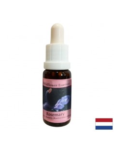 Стимулира енергията и концентрацията - Есенция Розмарин № 13, капки 15 ml - Мозъчна функция,памет, концентрация