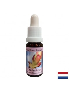 Премахва енергийните блокажи - Есенция Кестенови пъпки № 7, капки 15 ml - Капки по Метода на Доктор Бах
