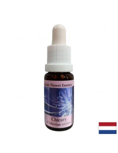 За фокусиране върху себе си - Есенция Цикория № 8, капки 15 ml - Капки по Метода на Доктор Бах