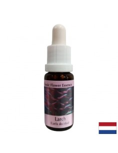 Повишава самочувствието - Есенция Лиственица № 19, капки 15 ml - Капки по Метода на Доктор Бах