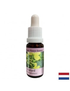 Срещу негативни мисли и депресия - Есенция Синап № 21, капки 15 ml - Депресия, тревожност, паническо разстройство