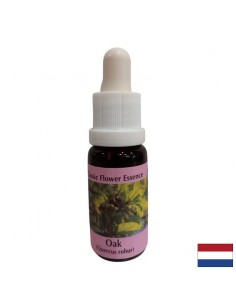Зарежда с енергия - Есенция Дъб № 22, капки 15 ml - По здравно направление