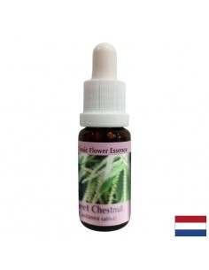 При отчаяние и безизходица - Есенция Сладък кестен, капки 15 ml - Депресия, тревожност, паническо разстройство