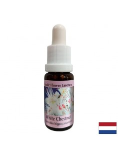 При натрапчиви мисли - Есенция Конски кестен № 35, капки 15 ml - Капки по Метода на Доктор Бах