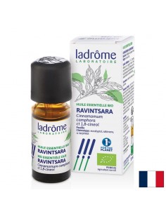 Камфорово дърво (Ravintsara) – За дихателен комфорт и релакс, етерично масло 10 ml