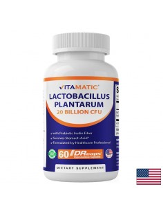Лактобацилус плантарум 20 млрд. + инулин – За балансирана чревна флора и комфорт, 60 капсули със забавено освобождаване - Пробиотици и пребиотици