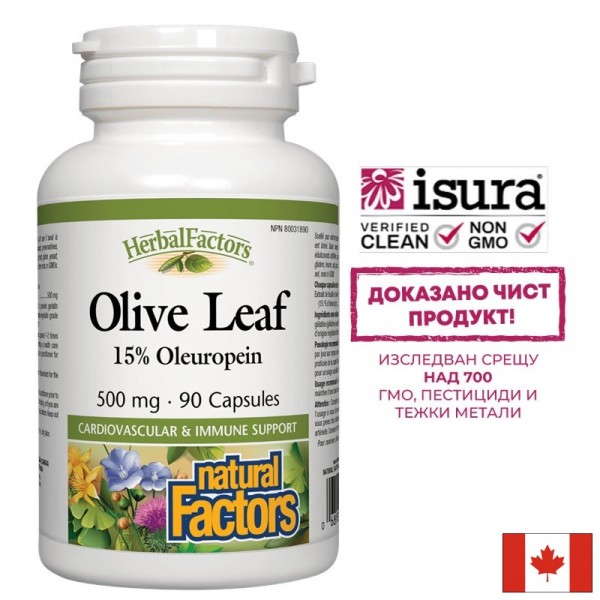 Olive Leaf / Маслина (лист) 500 mg х...