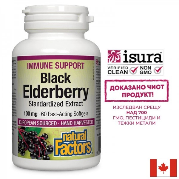 Черен бъз – мощен имуностимулатор -...