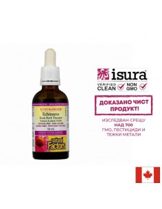 Простуда и грип Echinamide® - Тинктура с ехинацея, 50 ml (без алкохол) - Възпалено гърло