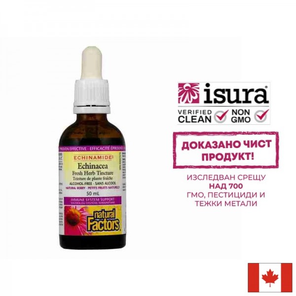 Простуда и грип Echinamide® -...