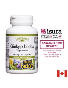 Памет и концентрация - Гинко билоба Фитозоми, 60 mg x 60 капсули