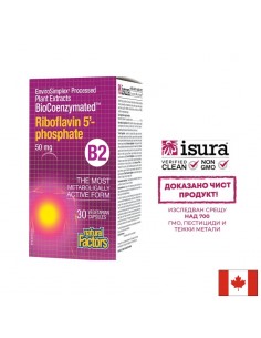 Витамин В2 - Рибофлавин-5-фосфат, биокоензимиран - Сърдечносъдова система, зрение, клетъчна енергия , 50 mg, 30 капсули - Нервна система