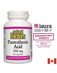 Pantothenic Acid - Пантотенова киселина / Витамин В5 (калциев д-пантотенат), 250 mg, 90 капсули - Нервна система