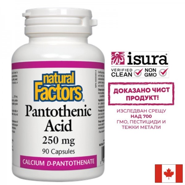 Pantothenic Acid - Пантотенова...