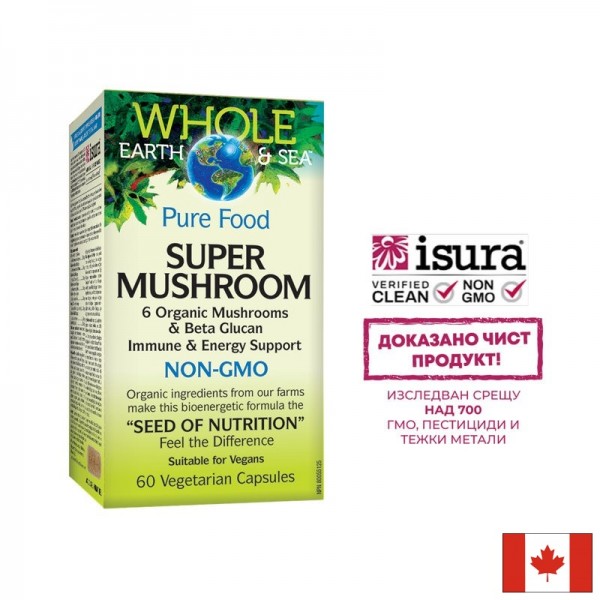 Super Mushroom - медицински гъби за...