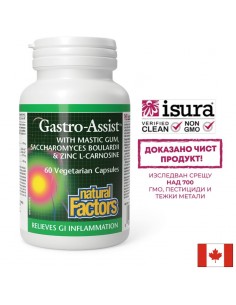 Мастикс, цинков карнозин и лайка за спокоен стомах - Gastro Assist™, 60 капсули