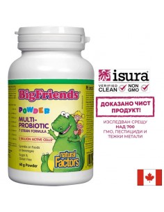 Мулти пробиотик за деца Big Friends, 3 млрд. активни пробиотици x 60 g прах