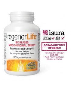 Формула за митохондриална енергия и антиейджинг грижа - С глутатион, супероксид дисмутаза & CoQ10, 120 капсули 2 - Нервна система