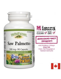 Простата и уринарен тракт - Сао Палмето, 500 mg х 90 капсули