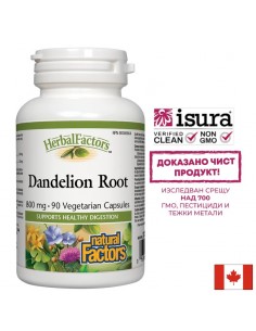 Черен дроб и жлъчка - Глухарче (корен), 425 mg x 90 софтгел капсули - Отделителна система