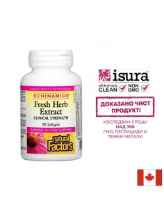 Имунитет - Echinamide® Ехинацея екстракт, 250 mg х 90 софтгел капсули