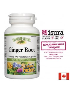 Ginger Root/ Джинджифил (корен) 450 mg х 90 капсули