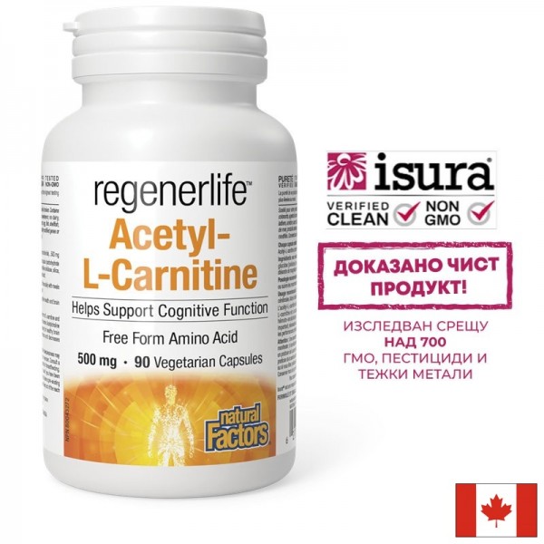 Ацетил-Л-карнитин – мозъчна функция,...