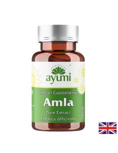 Амла – Имунна защита, храносмилателен комфорт и антиоксидантна подкрепа, 520 mg, 60 капсули - Настинка и грип