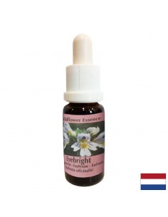 Есенция Очанка №42 – Яснота в мислите и емоционален фокус, 15 ml капки - По категория