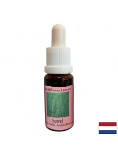 Есенция Киселец №56 – Жизнена сила и вътрешна издръжливост, 15 ml капки - По категория