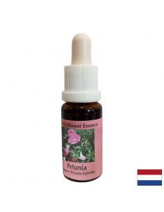 Есенция Петуния №52 – Концентрация и ефективна умствена енергия, 15 ml капки - По категория