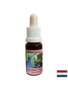 Есенция Гинко билоба №45 – Вътрешна устойчивост и емоционална сила, 15 ml капки - Билки и растителни екстракти