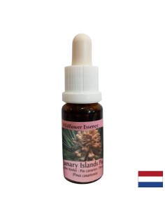 Есенция Канарски бор №48 – Освобождаване от вина и вътрешно пречистване, 15 ml капки - По категория