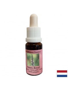 Есенция Мента №54 – Енергийна защита и психична яснота, 15 ml капки - Билки и растителни екстракти