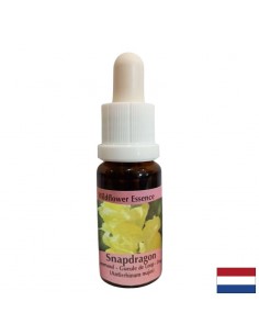 Есенция Антиринум (Кученце) №49 – Уверено себеизразяване и вътрешен баланс, 15 ml капки - По категория