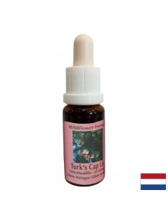 Есенция Петров кръст №58 – Увереност и вътрешна стабилност, 15 ml капки - По вид