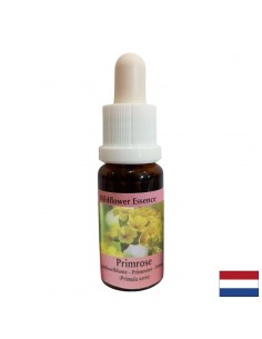 Есенция Иглика №57 – Творчески поток и вдъхновение, 15 ml капки - Билки и растителни екстракти