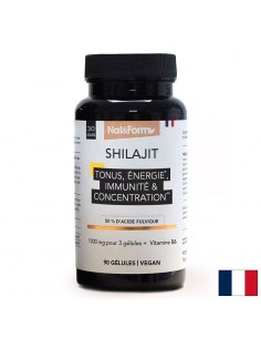 Шилажит 333 mg + Витамин B6 – Енергия и издръжливост, 90 капсули