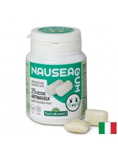 Дъвки против гадене и неразположение при пътуване с Джинджифил 120 mg и Витамин B6 10 mg, Nausea Gum, 25 дъвки